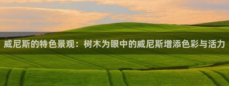 新宝gg dengludizhi