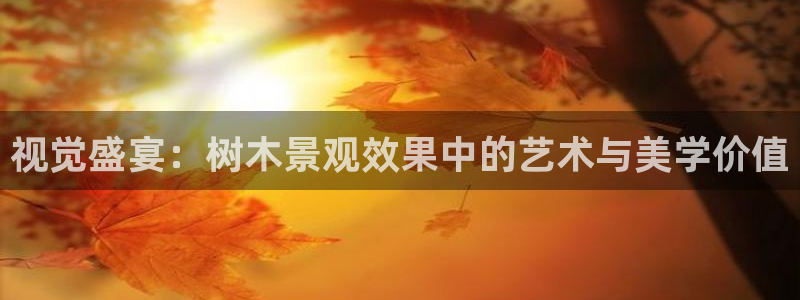 新宝gg传奇