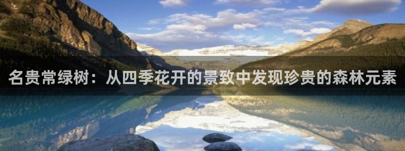 登录新宝GG