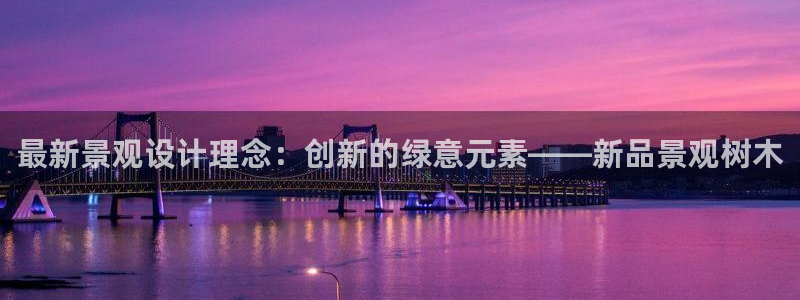 新宝GG管理