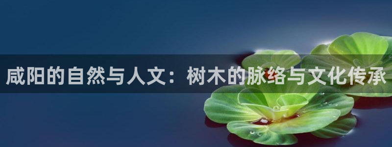 新宝gg代