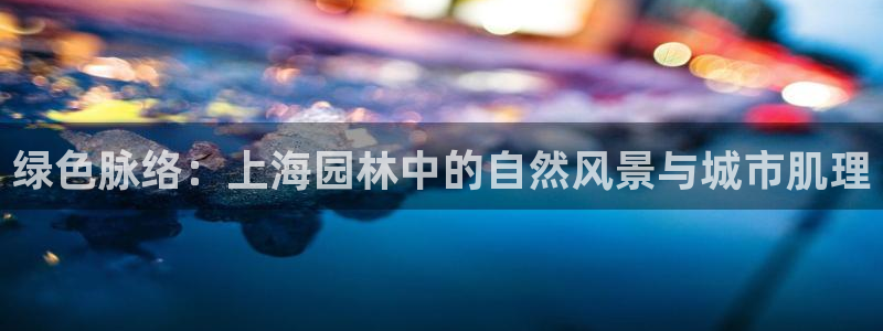 新宝GG氯78778