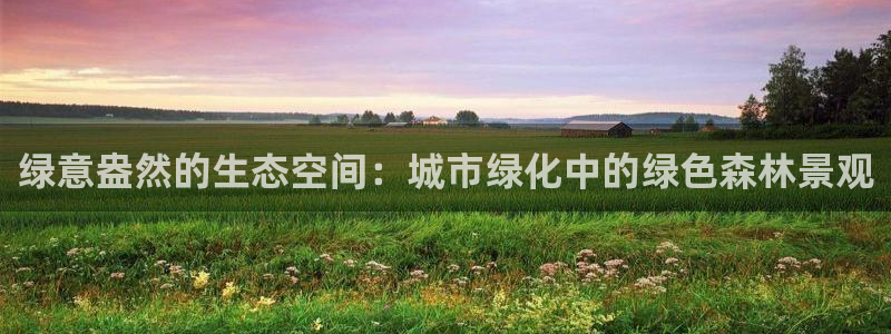 新宝+gg+登录