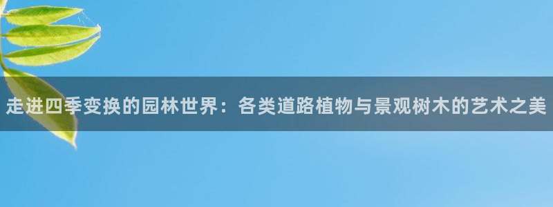 新宝gg招商致胜团队