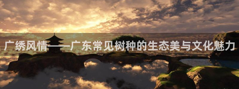 新宝gg-创业奇迹