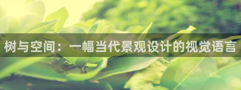 关于新宝GG