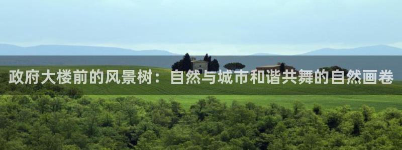 新宝gg介绍