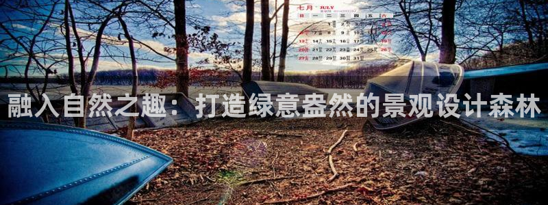 新宝gg开奖结果