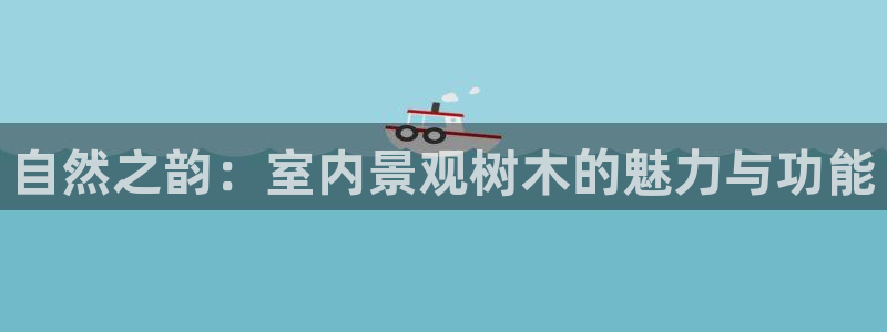 新宝GG都有哪些计划