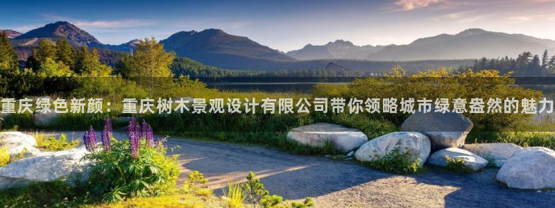 新宝gg软件下载