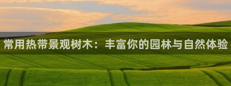 新宝gg龙虎规则