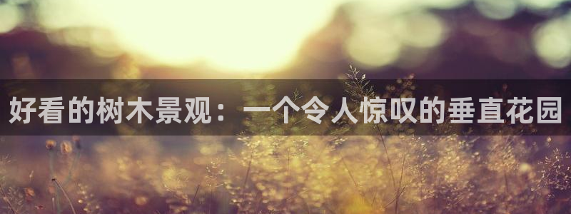 新宝gg   创造奇迹