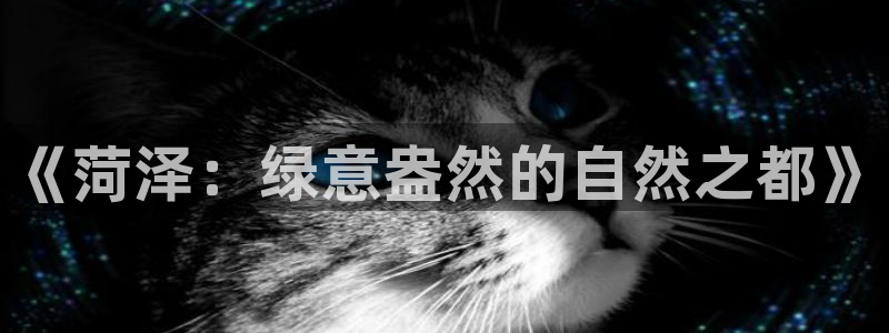 新宝gg地址新宝二