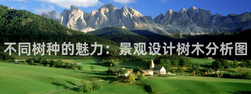 新宝Gg测速地址