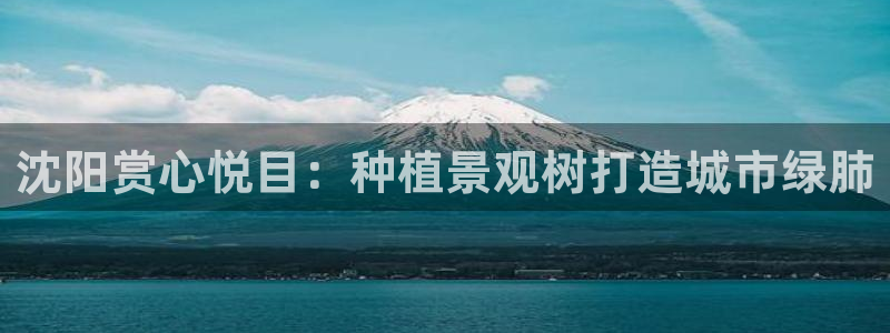 新宝gg专线