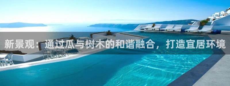 新宝GG上级