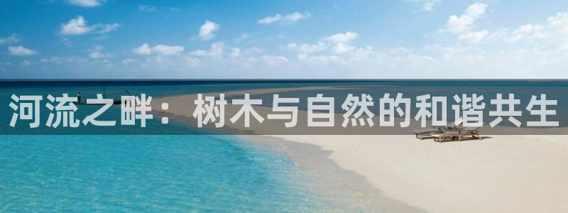 新宝gg和新宝123