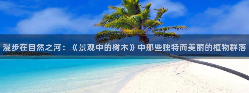 新 宝gg