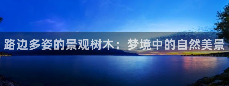 新宝gg开奖结果可信吗