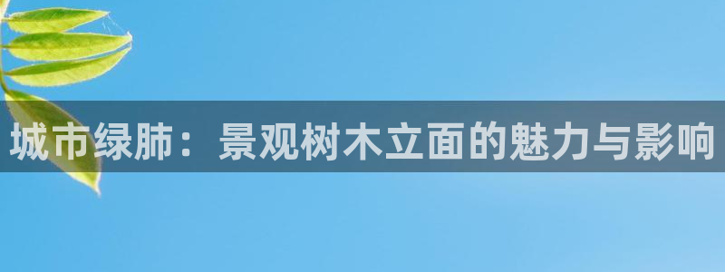 j新宝GG