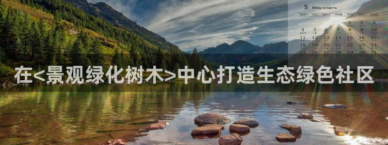 新宝gg建立团队