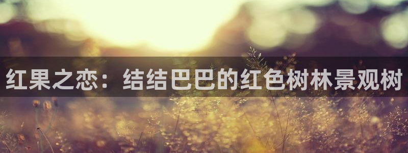 新宝gg娱乐平台