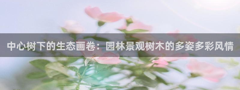 新宝一gg测速