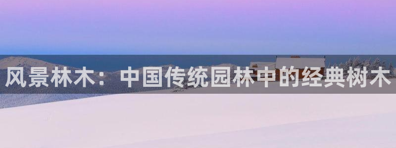 新宝GG网址新宝2