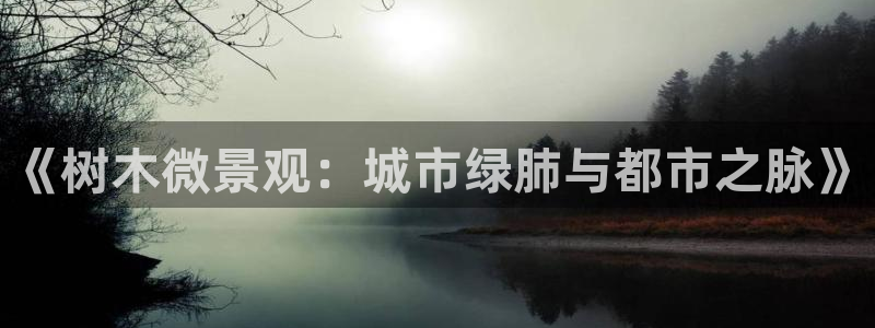 新宝gg 平台怎么样