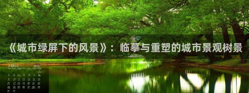 新宝gg赚钱
