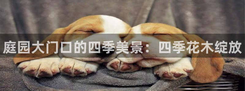 www.新宝gg