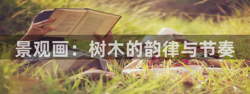 新宝gg创造奇迹 新宝gg