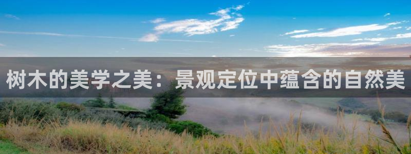 新宝gg好吗
