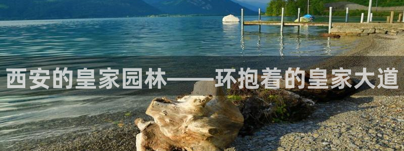 新宝GG53339咨询新宝GG