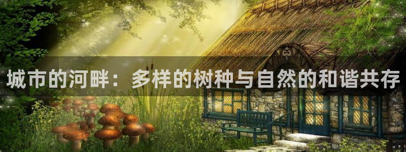 新宝gg官方