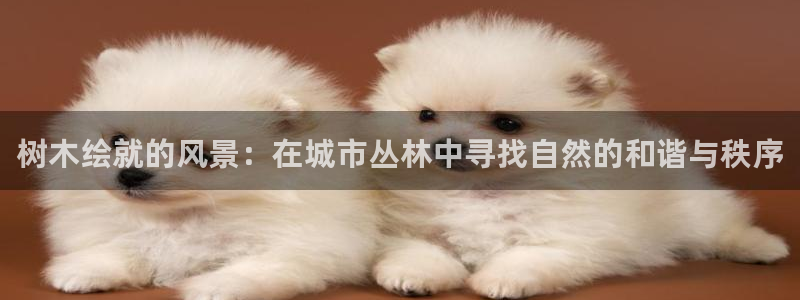 新宝gg如何赚钱