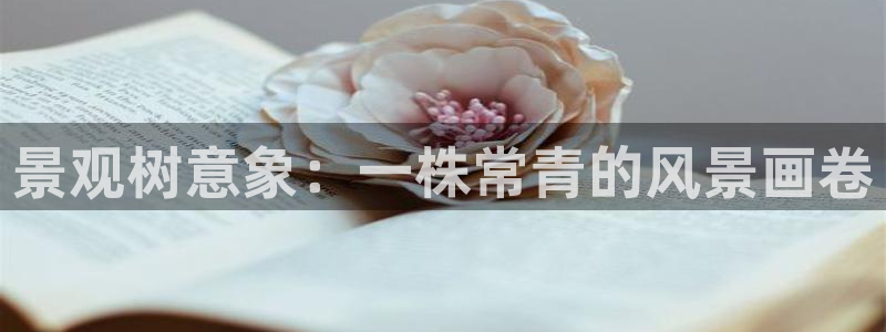 新宝gg挂机软件下载