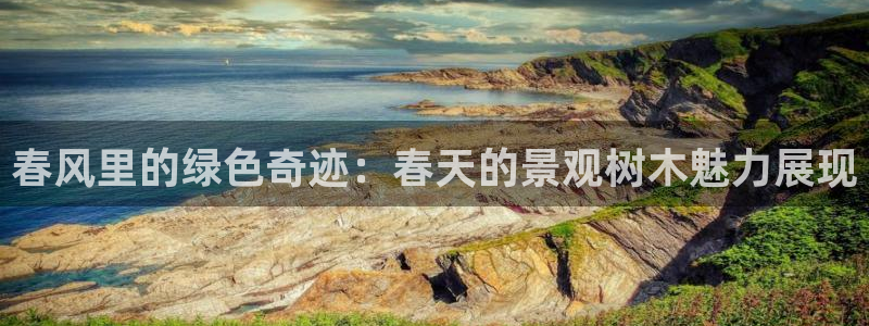 新宝gg招商致胜团队