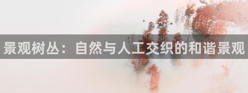新宝gg 主管：景观树丛：自然与人工交织的和谐景观