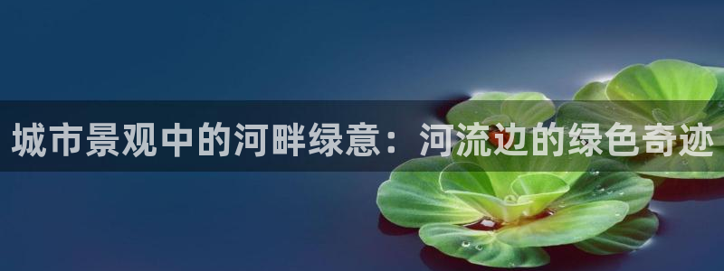 下载新宝gg怎么下载