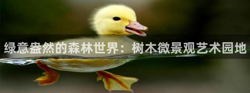 新宝gg充值