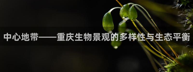 新宝GG专业团队：中心地带——重庆生物景观的多样性与生态平衡