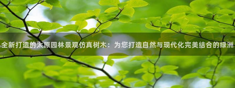 新宝gg充值