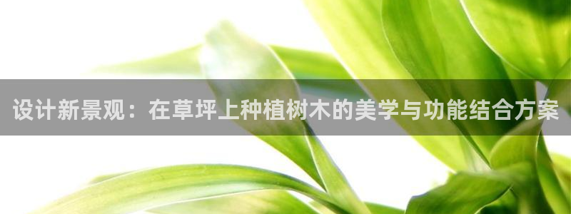 新宝GG挂机