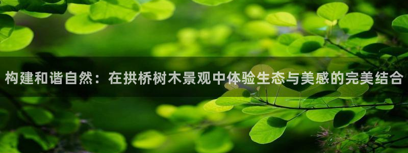 新宝gg平台首页