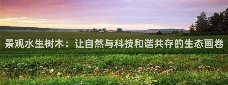 新宝_GG奇迹：景观水生树木：让自然与科技和谐共存的生态画卷
