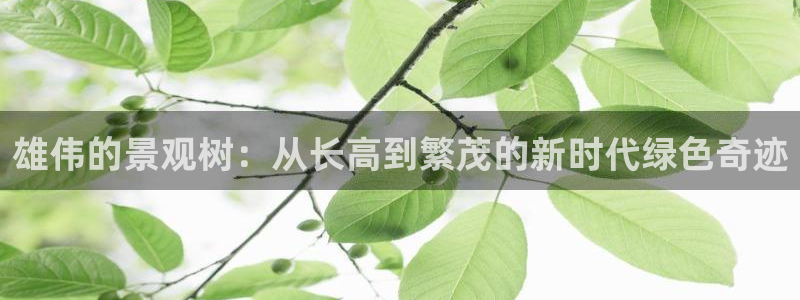 新宝gg 网址：雄伟的景观树：从长高到繁茂的新时代绿色奇迹