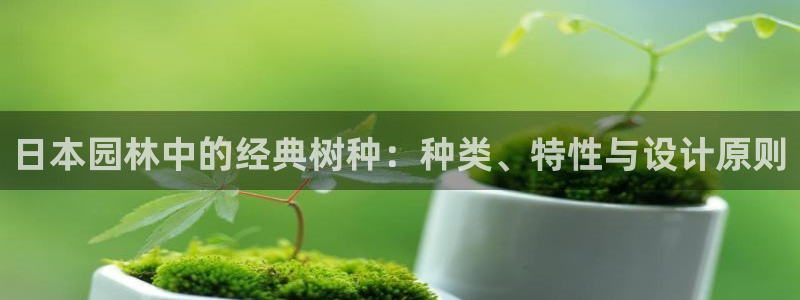 新宝GG苹果版：日本园林中的经典树种：种类、特性与设计原则