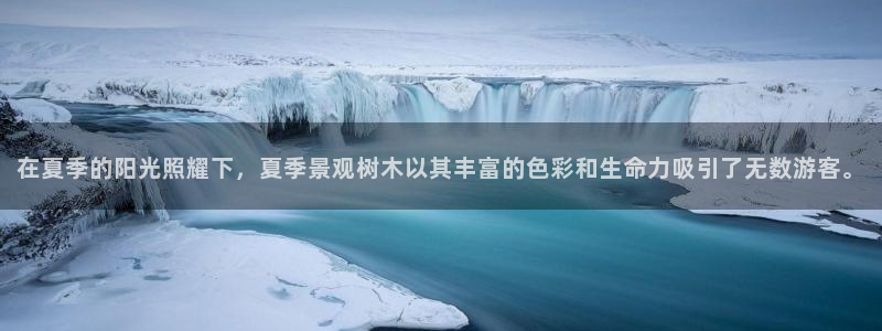 新宝gg登录登：在夏季的阳光照耀下，夏季景观树木以其丰富的色彩和生命力吸引了无数游客。