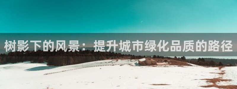 新宝gg助手：树影下的风景：提升城市绿化品质的路径